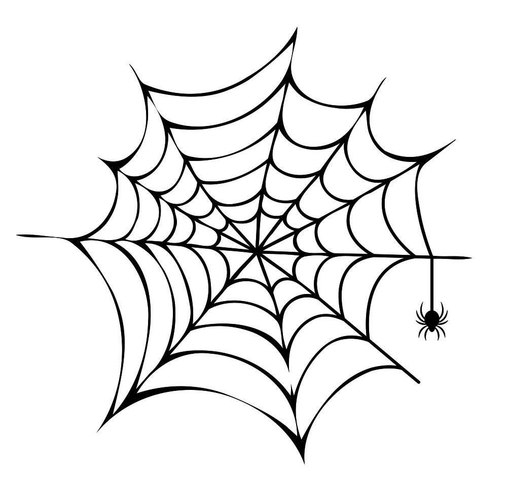 벌레사냥꾼-2] 웹과 거미, 거미줄 구조와 보안 설계 체계