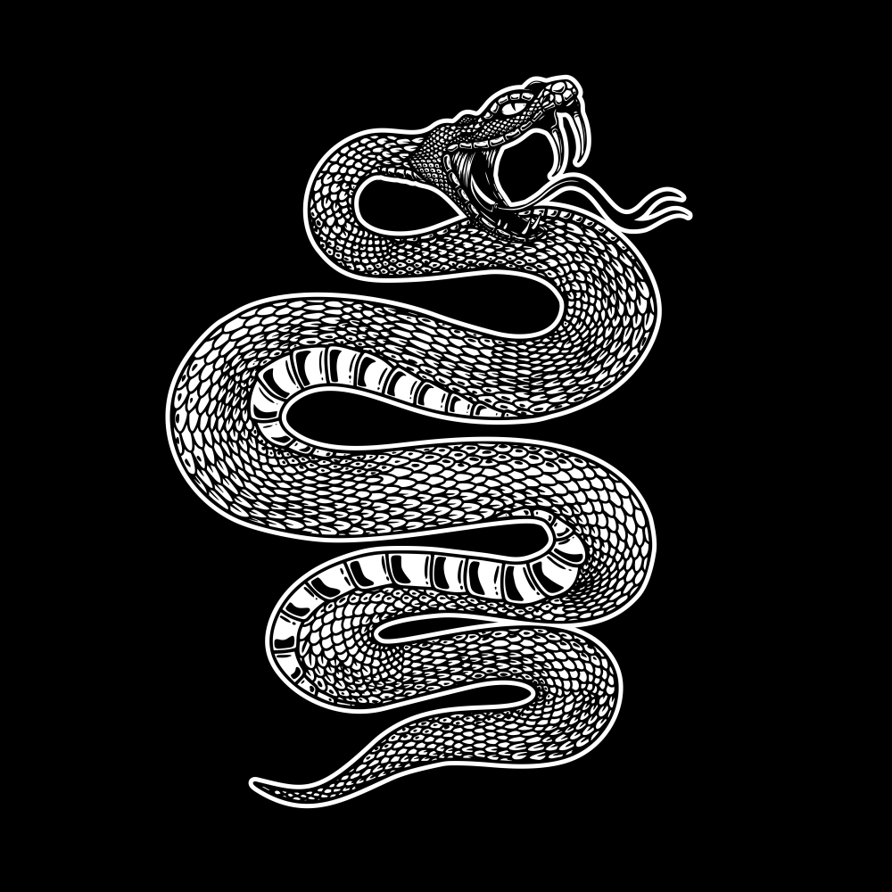 [보안뉴스 / 7.4.] 센티넬원, “AI 악용한 ‘Black Mamba’ 공격, AI 기반 다층 접근법으로 방어해야”
