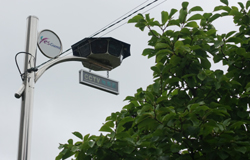 width=250